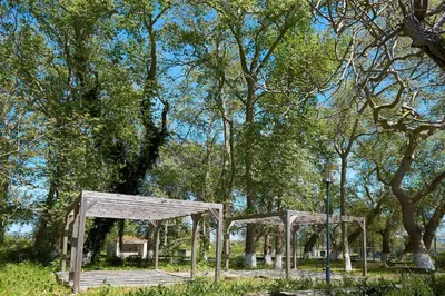 a wooden bridge in a park with trees at La Maison to Chani in Stílos