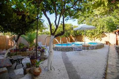a tree in the middle of a yard with a pool at Seafalios Villa in Chania Town
