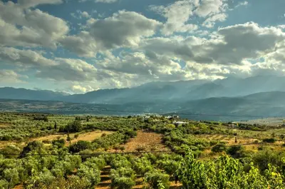 a view of a field with mountains in the background at Anemole Traditional Cretan Villa in Megála Khoráfia