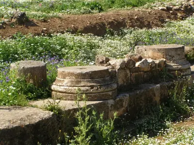 a pile of rocks in a field of flowers at Anemole Traditional Cretan Villa in Megála Khoráfia