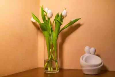 a vase with white flowers in it next to a rabbit at Athena's House in Chania Town