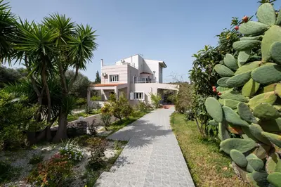 a pathway leading to a house with a cactus at Green Hill Villa in Daratso