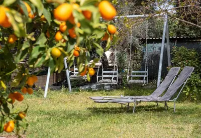 two chairs sitting in the grass under an orange tree at Green Hill Villa in Daratso