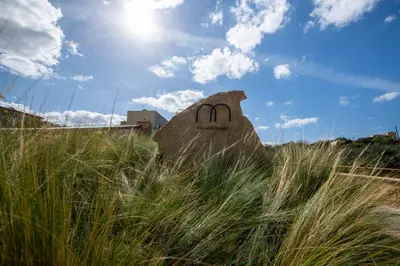 a rock in the middle of a field of tall grass at Villaggio Mare Suites in Kalamaki Chanion