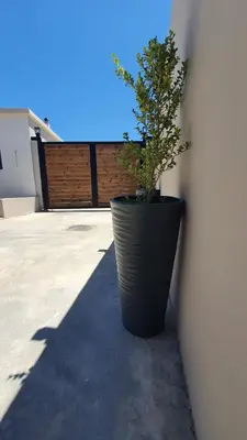 a plant in a black pot sitting against a wall at Villa Anasa Residence in Varípetron