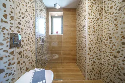 a bathroom with a toilet and a walk in shower at NAFSIKA XENIA-VILLA ARGO in Plátanos