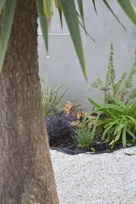 a bird sitting in a garden under a tree at Casa Vista in Kissamos