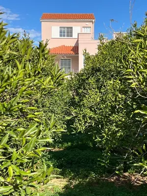 a house is seen through a hedge of trees at Verano Retreat in Chania Town