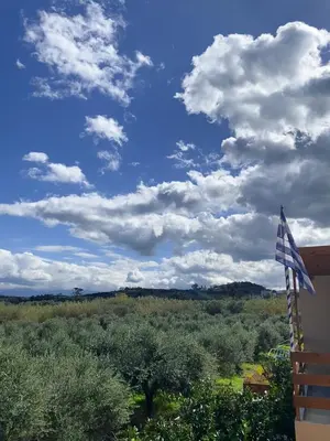 a flag on a house with a field of trees at YVONNE's HOUSE in Chania Town