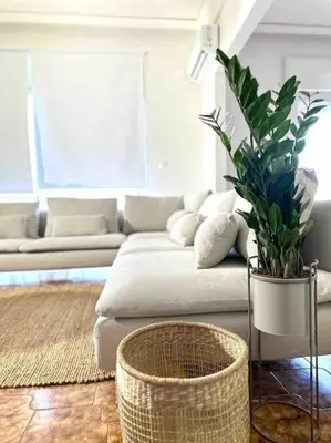 a living room with a couch and a potted plant at Linear Flat - City Center - Private Parking in Chania Town