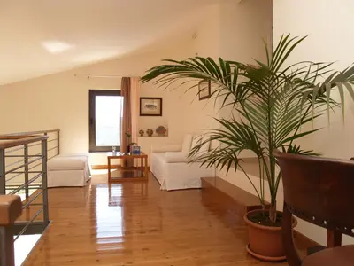 a living room with a couch and a palm tree at Villa Bellissima in Chania Town
