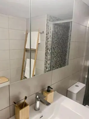 a bathroom with a sink and a mirror and a toilet at Olives Villa in Anopoli Sfakion