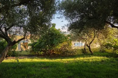 a yard with trees and a building in the background at AVRA COZY APARTMENT Agioi Apostoloi Chania in Daratso