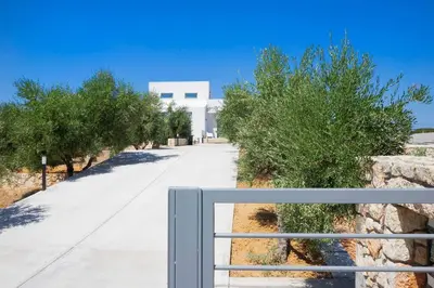 an empty street with trees and a white building at Sea Apt - Akrotiri in Kounoupidhianá