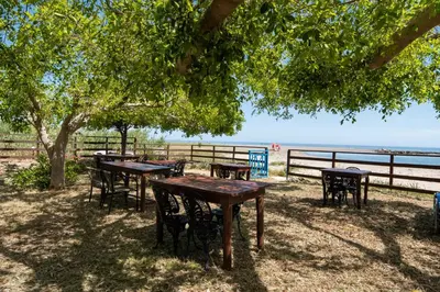 two tables and chairs under a tree near the beach at MYLOS (6) in Chania Town
