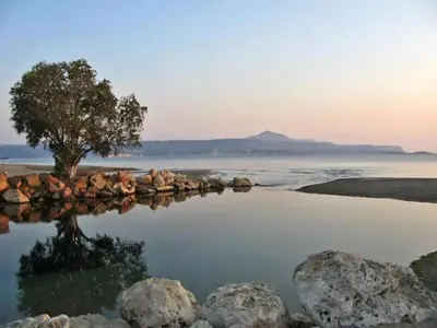 a tree sitting on top of a body of water at Aptera Dream Apartment in Áptera