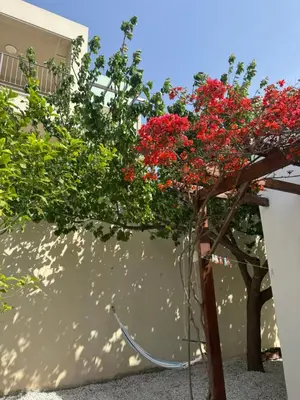 a tree with red flowers next to a wall at Villa Europa Ravdoucha Private Pool and Amazing View in Ravdhoúkha