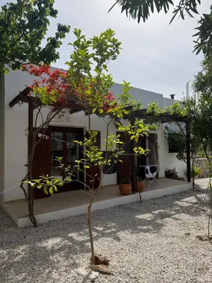 a small tree in front of a house at Villa Europa Ravdoucha Private Pool and Amazing View in Ravdhoúkha