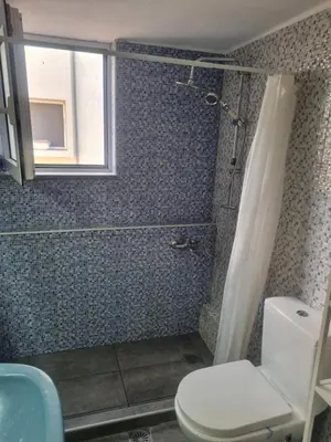 a bathroom with a toilet and a shower with a window at Villa Nancy in Chania Town