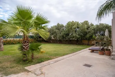 a palm tree in a yard with a picnic table at Natalia's Apartment in Tavronitis in Tavronitis