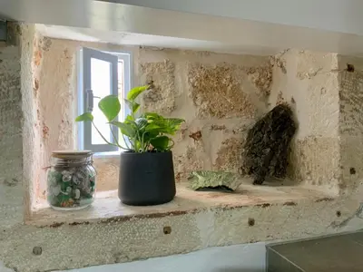 a plant sitting on a window sill in a room at Kazalakis Chania Harbor Roof top retreat in Chania Town