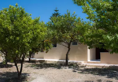 a group of trees in front of a building at Liza's Place in Metókhion