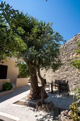 a tree and a bench next to a stone wall at Liza's Place in Metókhion