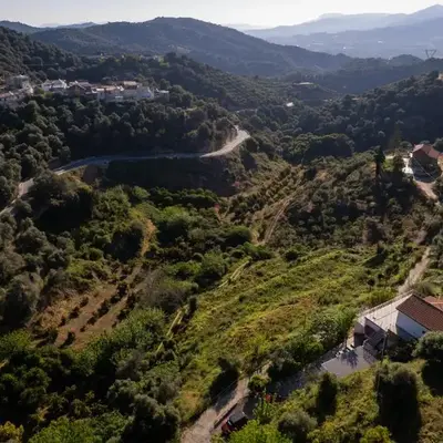 Iris Cretan Mountain Escape