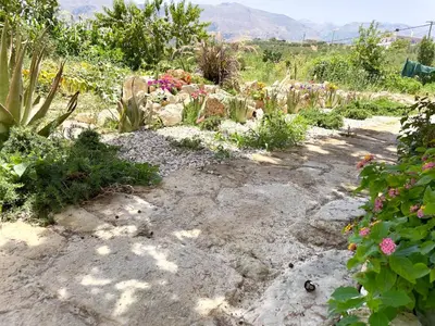 a garden with cacti and flowers on the ground at Kyparissos Apartment II in Kissamos