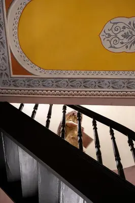 a dog walking down the stairs of a house at Bouquet Luxury Rooms in Chania Town