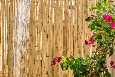 a bamboo wall with pink flowers and a plant at Cretan Fun in Stalos