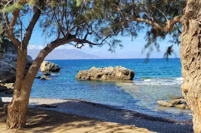 a beach with trees and the water and rocks at Pool Villa Kamara Crete - Chania in Chania Town