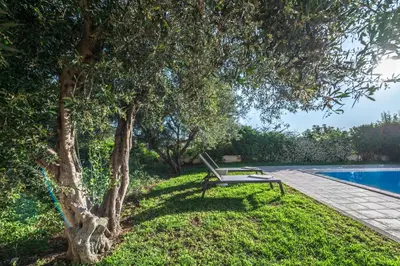 a bench next to a tree next to a swimming pool at Koralia's Villas in Chorafakia