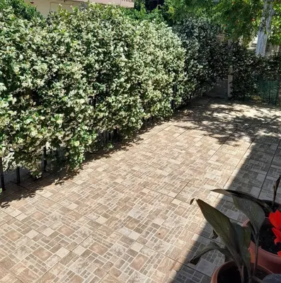 a hedge with white flowers next to a brick walkway at Myhope in Chania Town