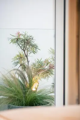 a potted plant in a window at Sea Path I Chania City Center luxury Suites in Chania Town