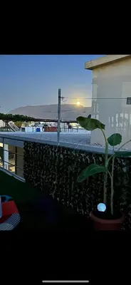 a plant in a pot on a balcony with the ocean at Marias Apartment in Chania Town