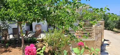 a garden with a tree and flowers in front of a house at MariAdni Garden House in Kissamos