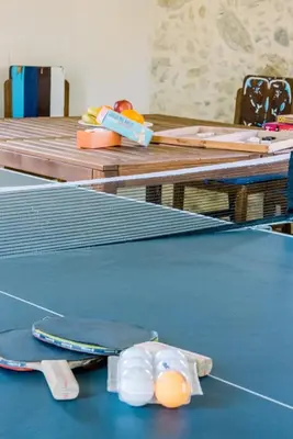 a ping pong racket and balls on a table at Nature stone retreat between Balos & Elafonisi beach, contactless check-in, Mouri Nature House in Mouríon