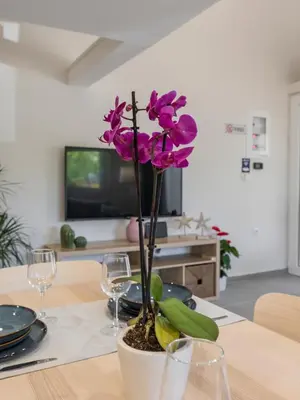 a purple flower in a pot on a table at Eranthis Apartment in Chania Town
