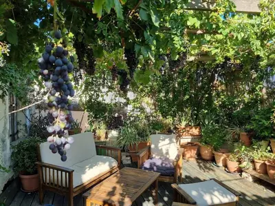 two chairs and a table in a garden with plants at KerAsh Villa Drapanias in Kissamos