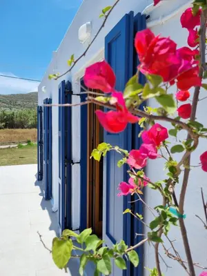 a row of blue windows with pink flowers on a building at All Season Lovely Seafront Cottage in Kissamos