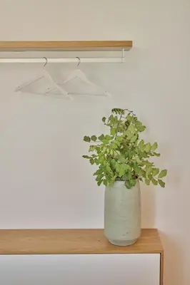 a plant in a white vase sitting on a wooden shelf at Mantis' House in Chania Town