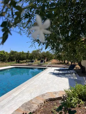 a swimming pool with a picnic table next to a tree at Tzortzinas Cottage in Chania Town