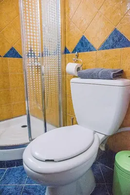 a bathroom with a white toilet and a shower at Sofia's house 2 in Chania Town