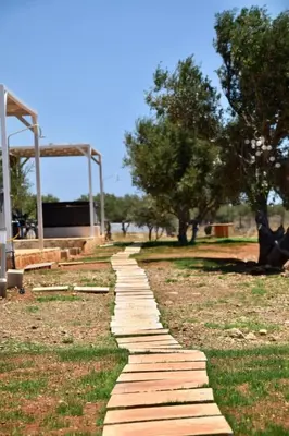 a stone path in a park with trees in the background at Agros simple living in Frangokastello