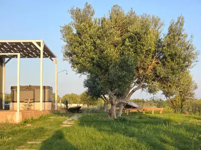 a tree in a field next to a picnic shelter at Agros simple living in Frangokastello