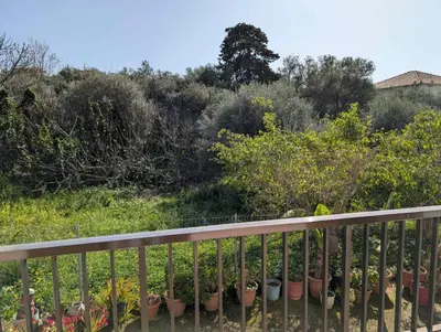 a bunch of potted plants on a balcony at Kouklospito in Chania Town