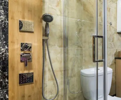 a shower in a bathroom with a toilet at Pandis Palace in Agios Onoufrios