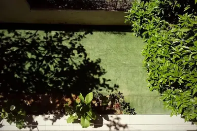 a group of green plants in a garden at COSY NEW APARTMENT- 5' to the beach, 15' to center in Chania Town