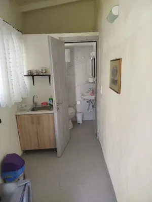 a bathroom with a sink and a toilet at Stefanos Garden3 in Arménoi
